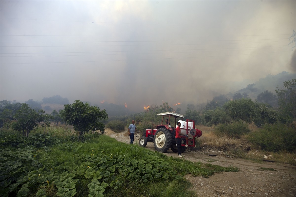 Aydın'ın Germencik ilçesinde, zeytinlik ve ormanlık alanda çıkan yangına havadan ve karadan...