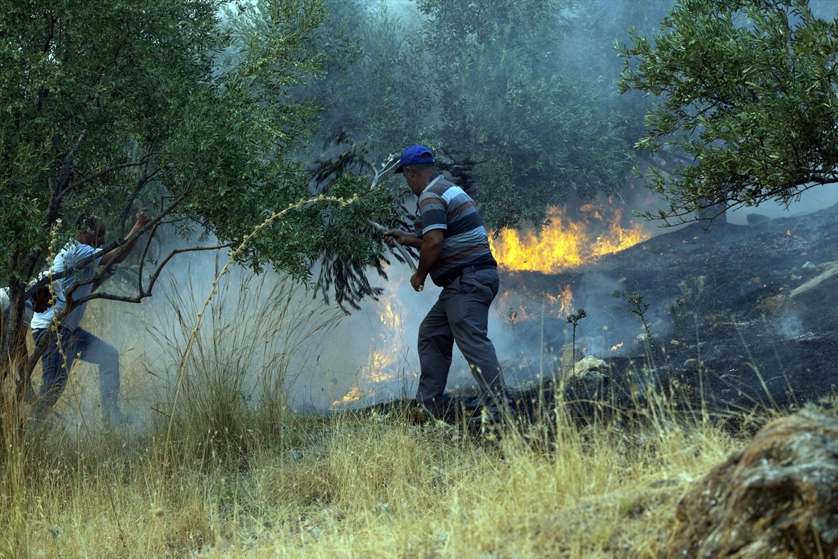 Aydın'ın Germencik ilçesinde, zeytinlik ve ormanlık alanda çıkan yangına havadan ve karadan...