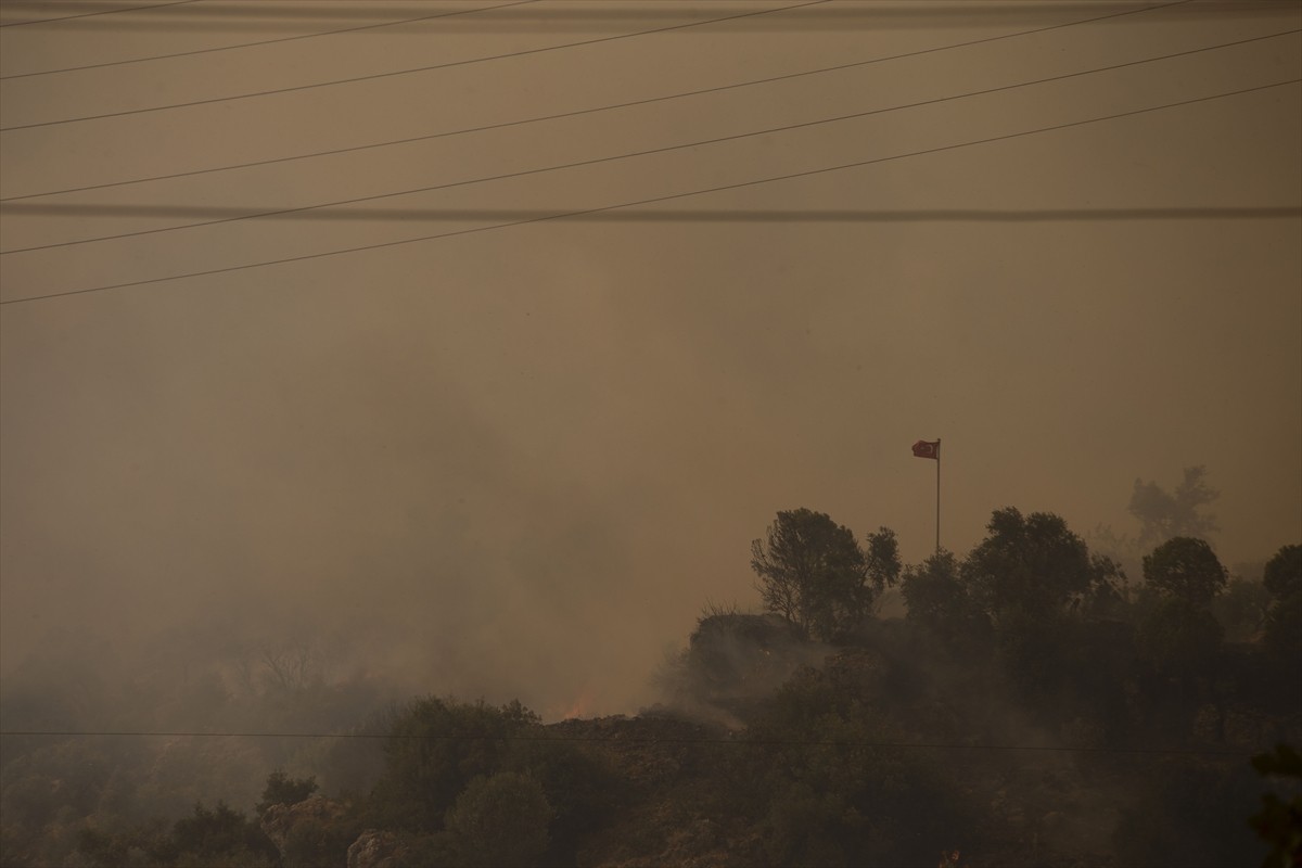 Aydın'ın Germencik ilçesinde, zeytinlik ve ormanlık alanda çıkan yangına havadan ve karadan...