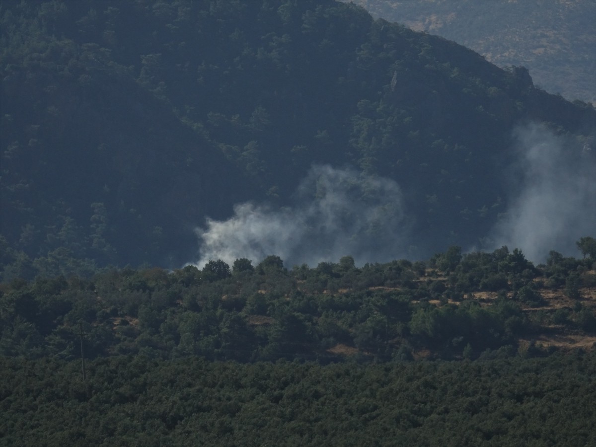 Balıkesir'in Havran ilçesinde traktörde yüklü samandan başlayıp makilik alana sıçrayan yangın...