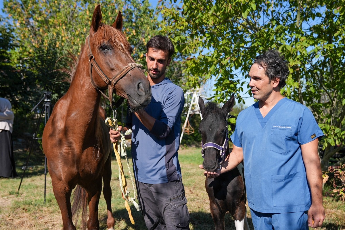 Balıkesir Üniversitesi Öğretim Üyesi Prof. Dr. Mehmet Can Gündüz başkanlığındaki bir ekibin...