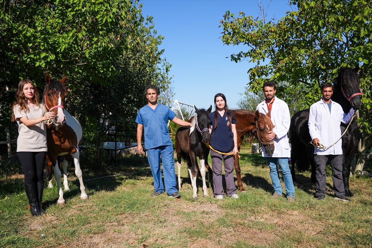 Balıkesir Üniversitesi Öğretim Üyesi Prof. Dr. Mehmet Can Gündüz başkanlığındaki bir ekibin...