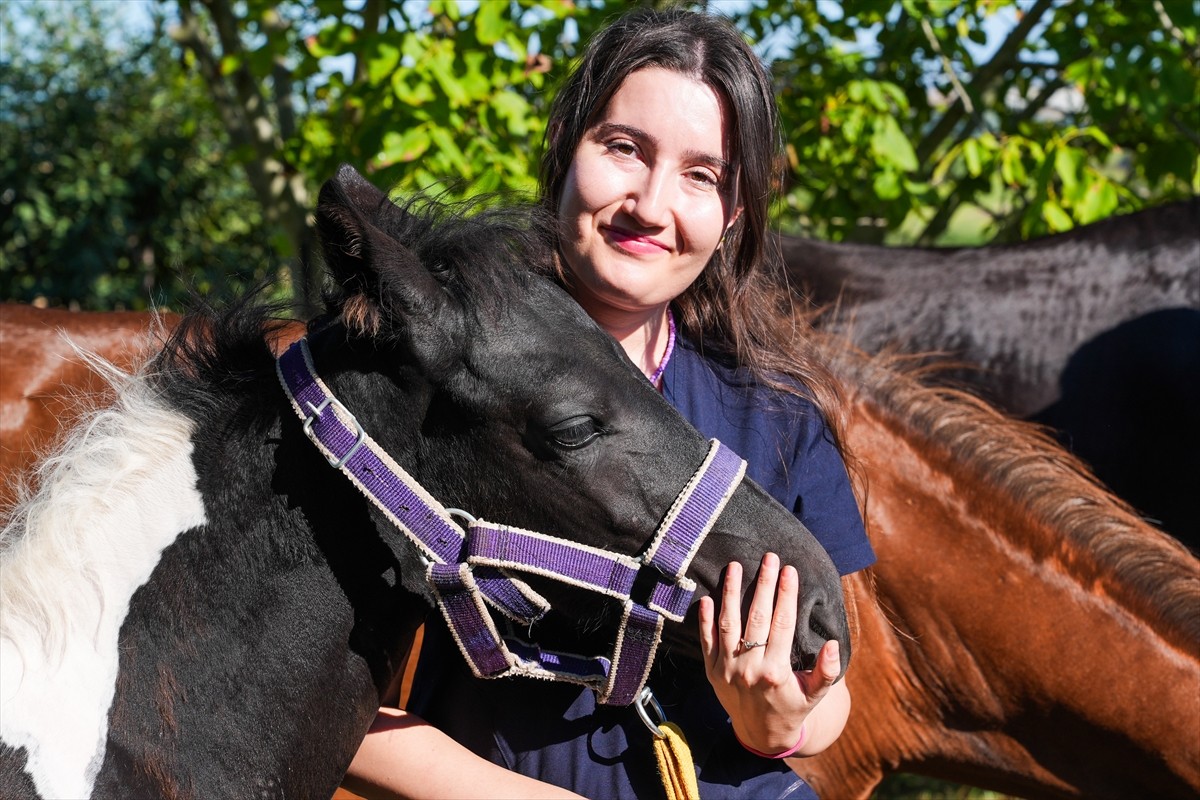 Balıkesir Üniversitesi Öğretim Üyesi Prof. Dr. Mehmet Can Gündüz başkanlığındaki bir ekibin...