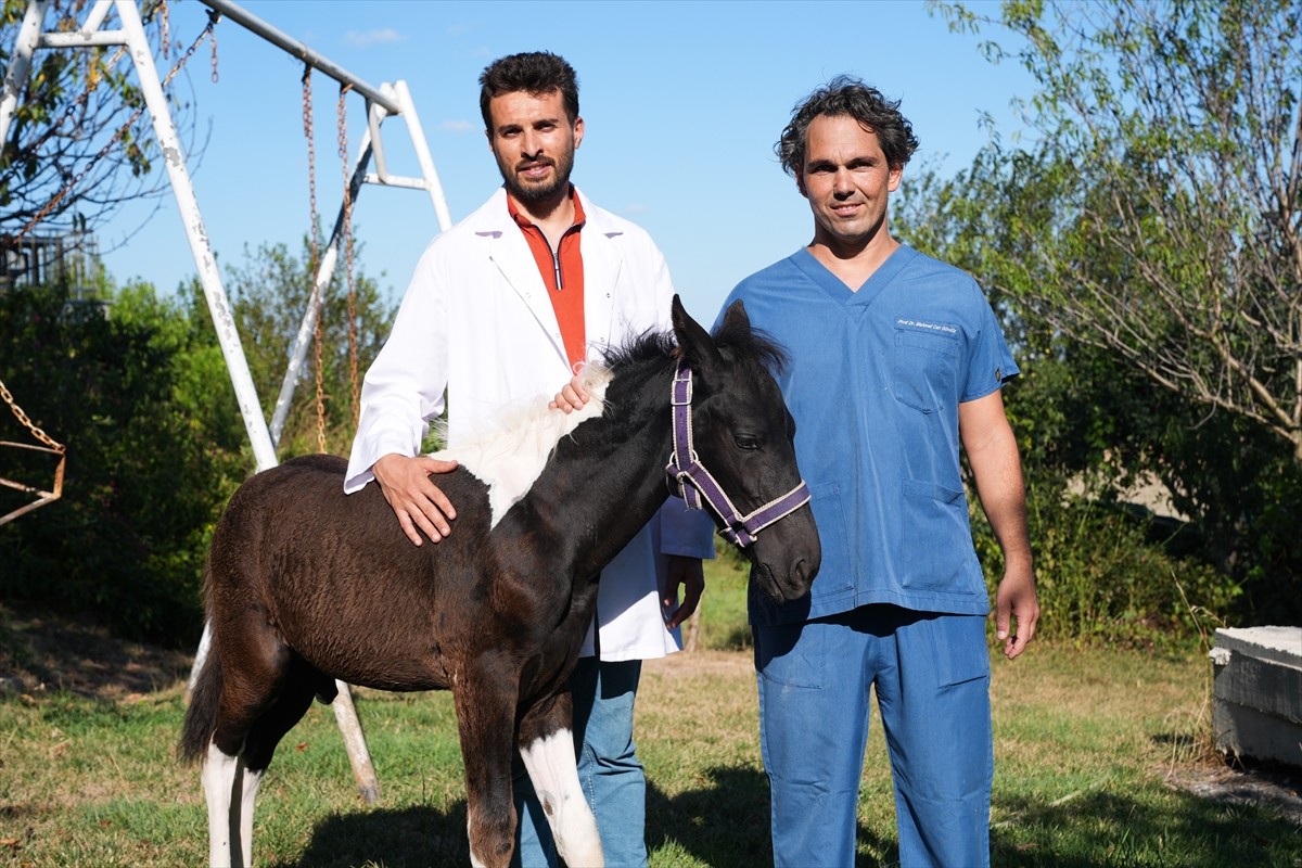 Balıkesir Üniversitesi Öğretim Üyesi Prof. Dr. Mehmet Can Gündüz başkanlığındaki bir ekibin...