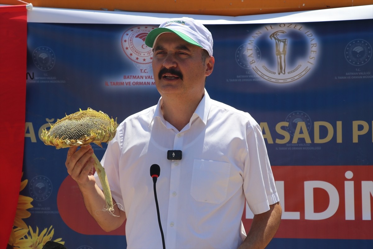 Batman’da bu yıl ilk kez ekimi gerçekleştirilen yağlık ayçiçeği hasadı düzenlenen etkinlikle...