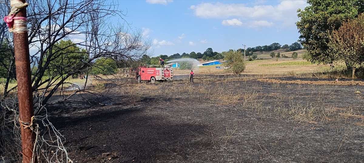 Bilecik'in Pazaryeri ilçesinde otluk alanda çıkan yangın söndürüldü.