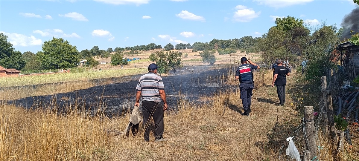 Bilecik'in Pazaryeri ilçesinde otluk alanda çıkan yangın söndürüldü.