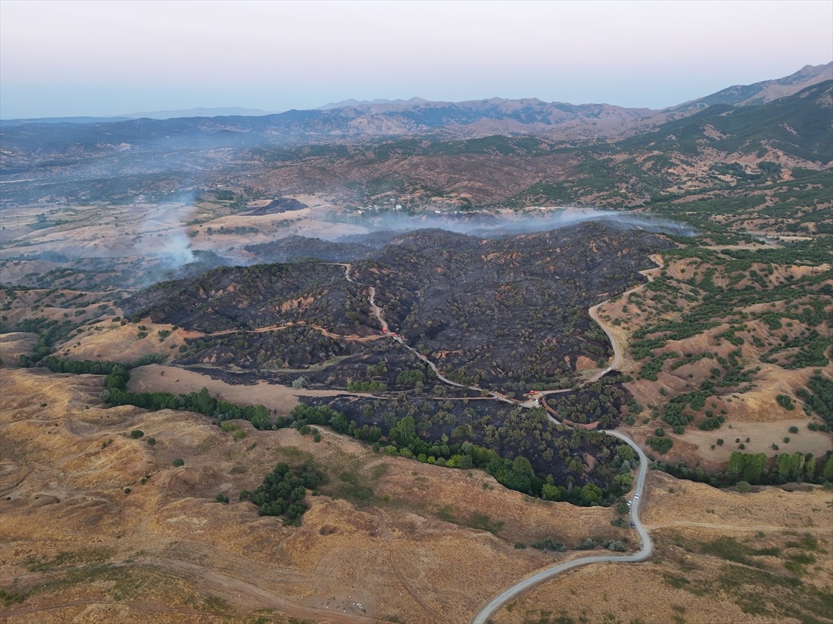 Bingöl'ün Genç ilçesinde çıkan orman yangını ekiplerin müdahalesiyle kontrol altına alındı....