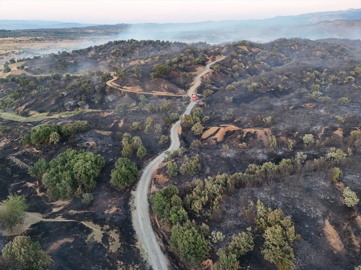 Bingöl'ün Genç ilçesinde çıkan orman yangını ekiplerin müdahalesiyle kontrol altına alındı....