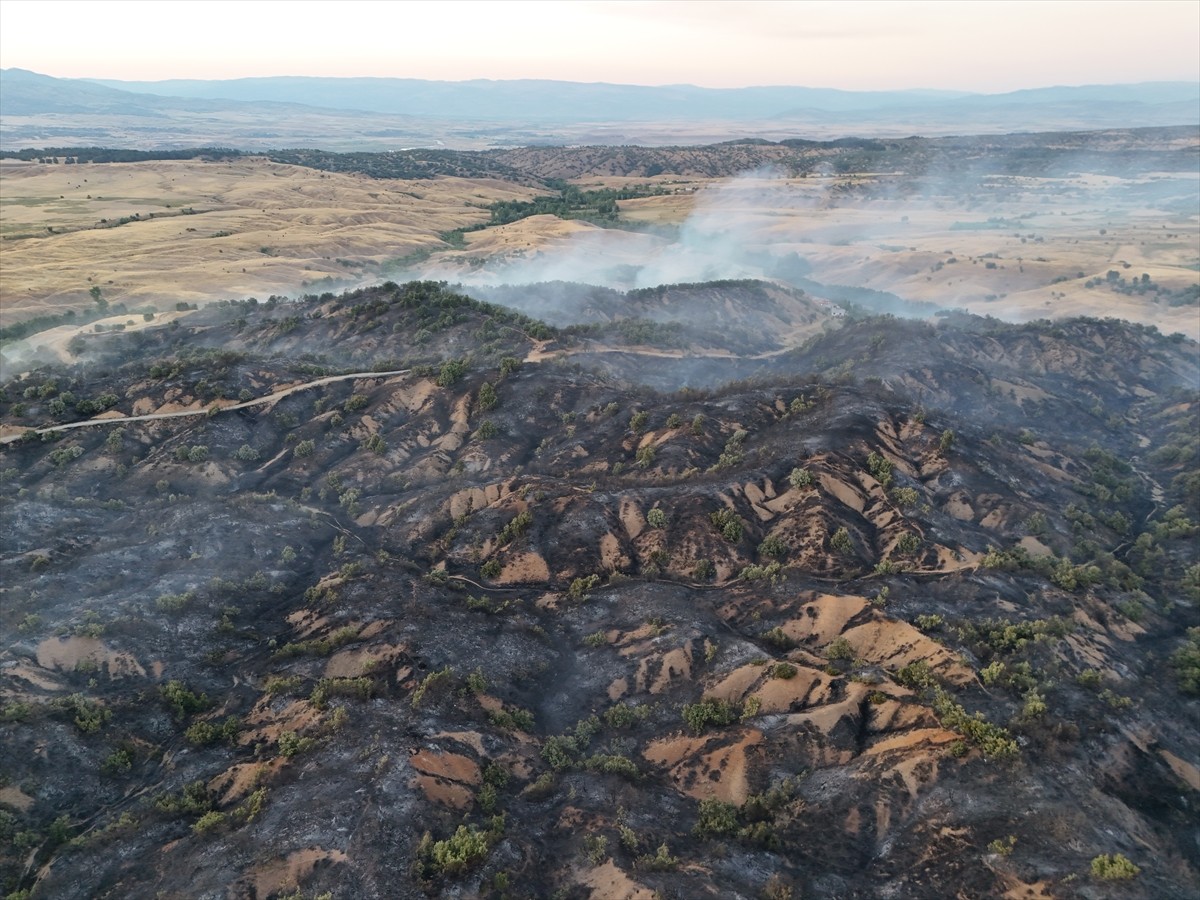 Bingöl'ün Genç ilçesinde çıkan orman yangını ekiplerin müdahalesiyle kontrol altına alındı....