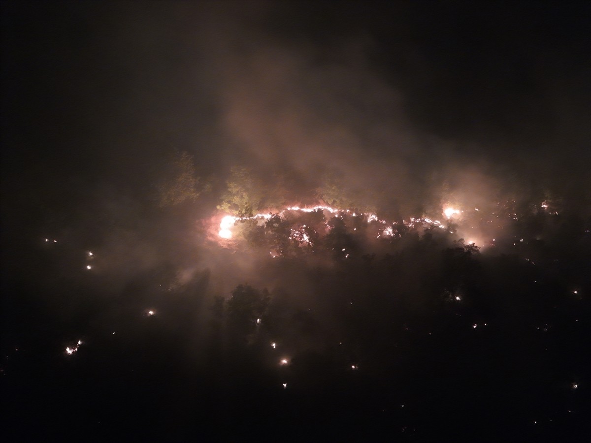 Bingöl'ün Genç ilçesinde çıkan orman yangınına ekiplerce müdahale ediliyor. 