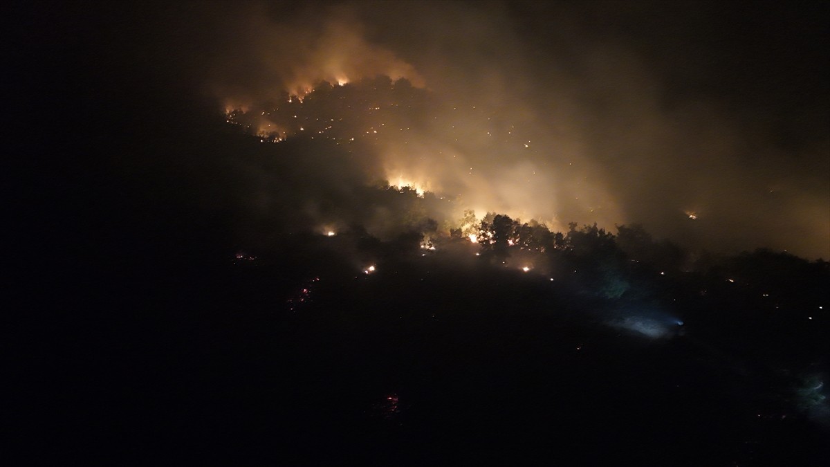 Bingöl'ün Genç ilçesinde çıkan orman yangınına ekiplerce müdahale ediliyor. 