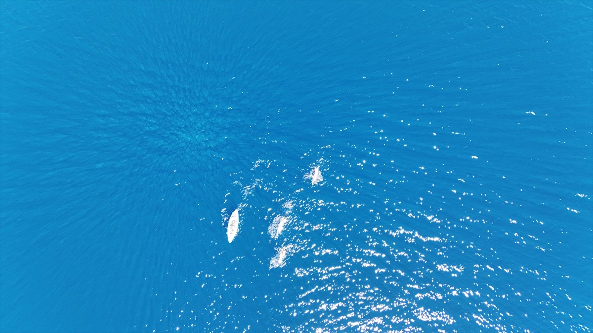 Bitlis'in Tatvan ilçesinde Vangölü Aktivistleri Derneği üyeleri, Avrupalı Seçkin Destinasyonlar...