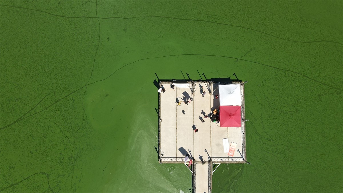 Bolu'nun önemli sulak alanlarından biri olan Yeniçağa Gölü'nün büyük kısmı, alg patlaması...