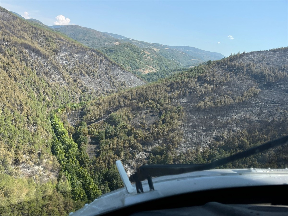 Bursa'nın İznik ilçesinde çıkan orman yangını kontrol altına alındı.