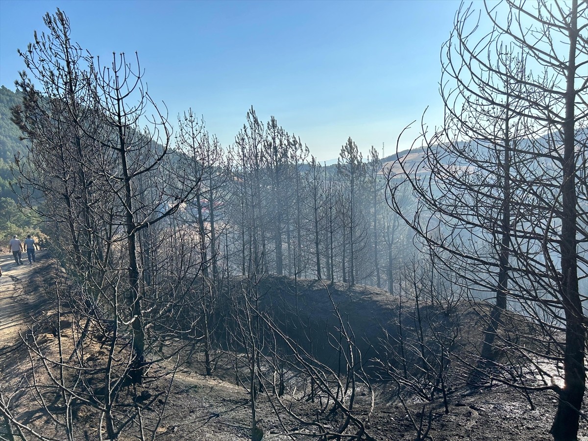 Bursa'nın Orhaneli ilçesinde arazide başlayıp ormanlık alana sıçrayan yangın ekiplerin kısa...