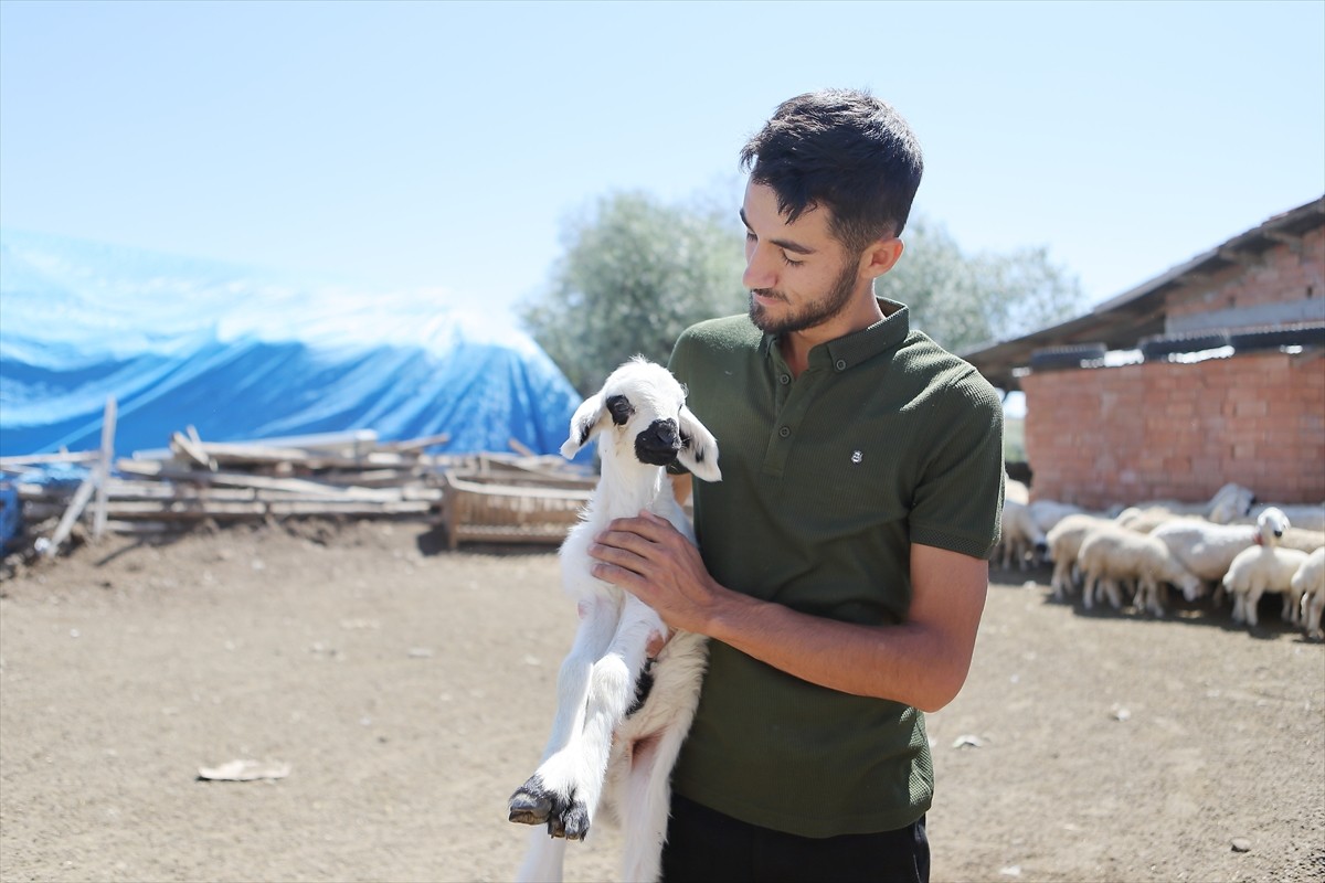 Çorum'un İskilip ilçesinde traktörüyle tarlasına "Fenerbahçe" yazdığı görüntüleri sosyal medyada...