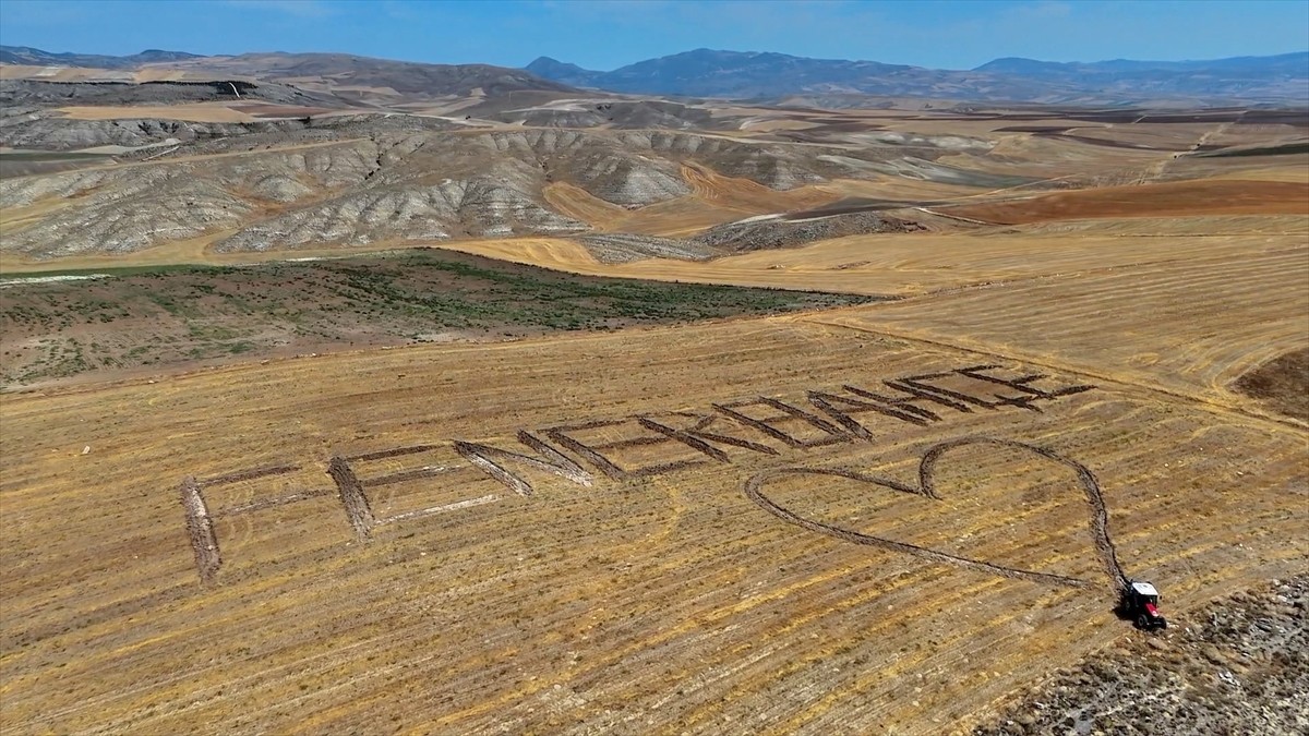 Çorum'un İskilip ilçesinde traktörüyle tarlasına "Fenerbahçe" yazdığı görüntüleri sosyal medyada...