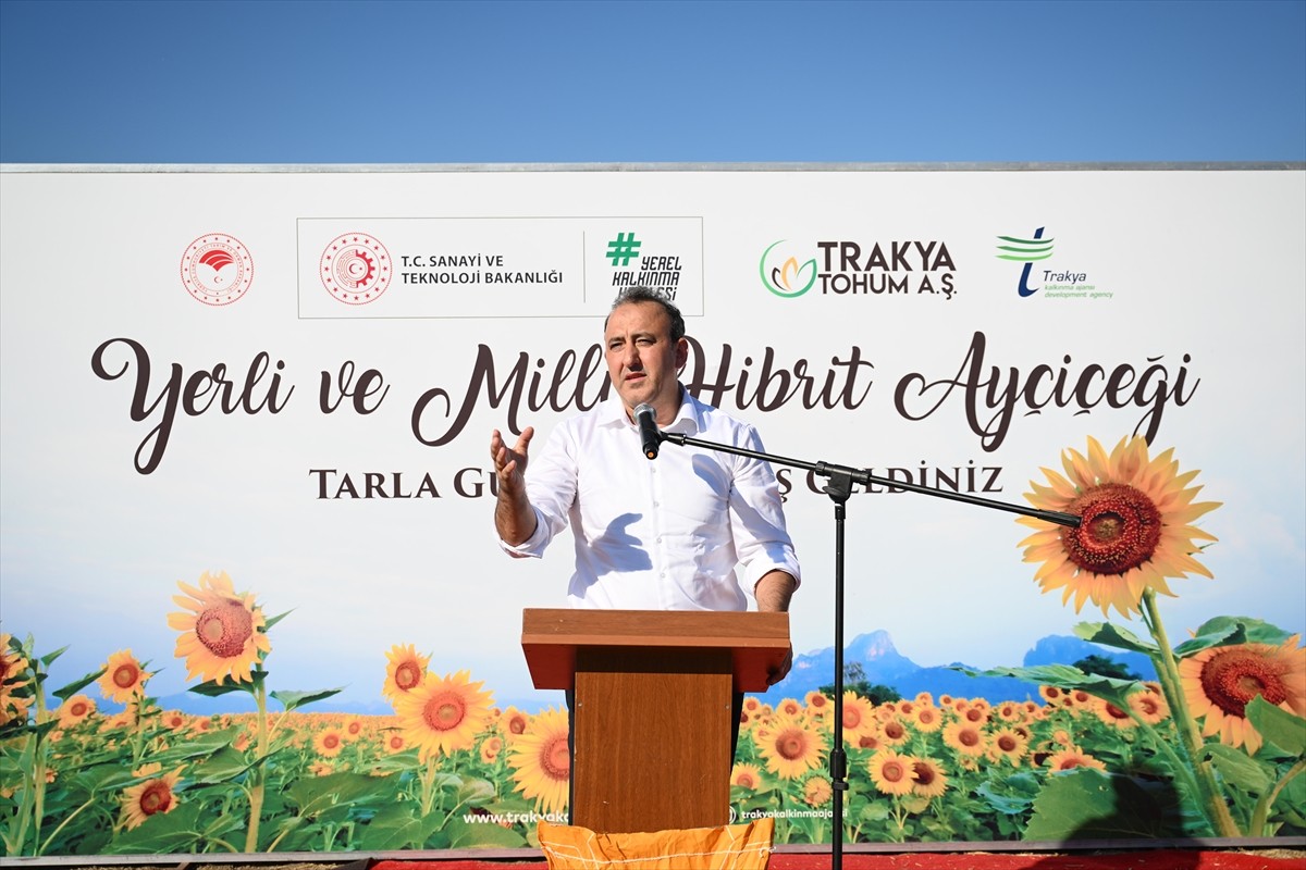 Edirne'de, Trakya Tohum AŞ tarafından geliştirilen 4 yerli hibrit ayçiçeği tohumundan biri olan...