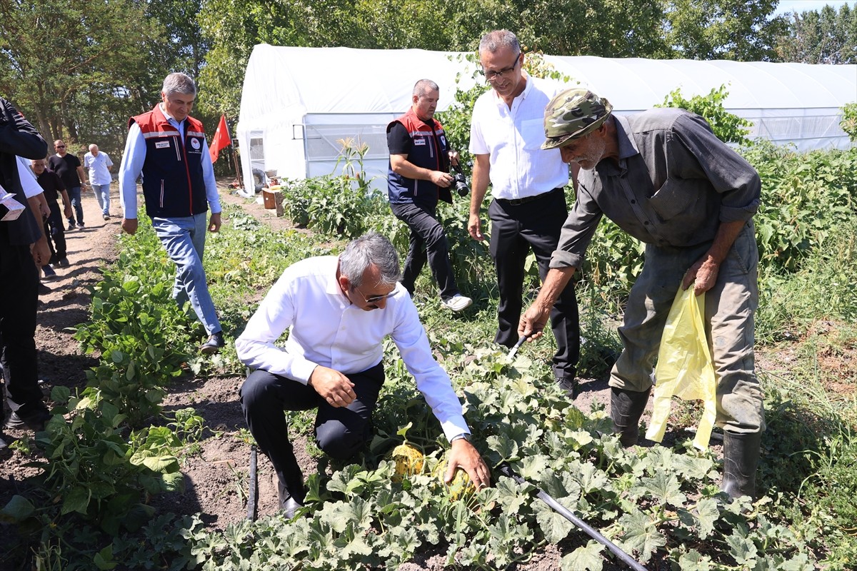 Edirne'de Valilik desteğiyle hayata geçirilen proje kapsamında sera alanının 500 dekara...