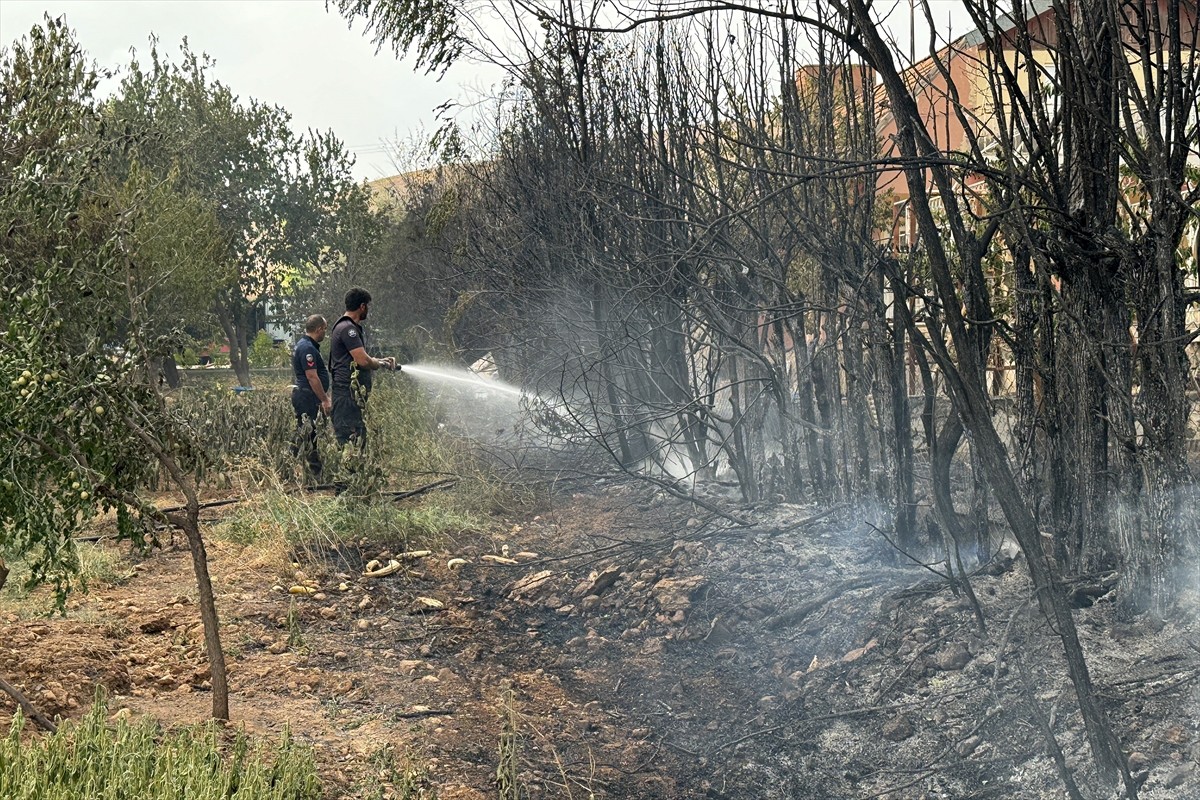 Elazığ'da kırsal arazide çıkan ve yerleşim yerlerindeki bahçelere sıçrayan yangın ekiplerin...