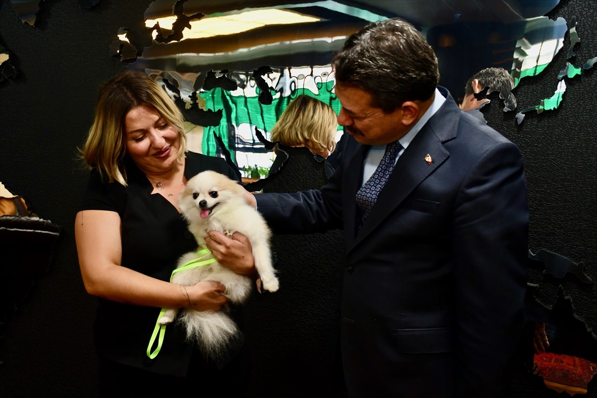 Eskişehir'in Tepebaşı ilçesinde sahibinin kötü muamelesine maruz kalan köpek, yeniden...