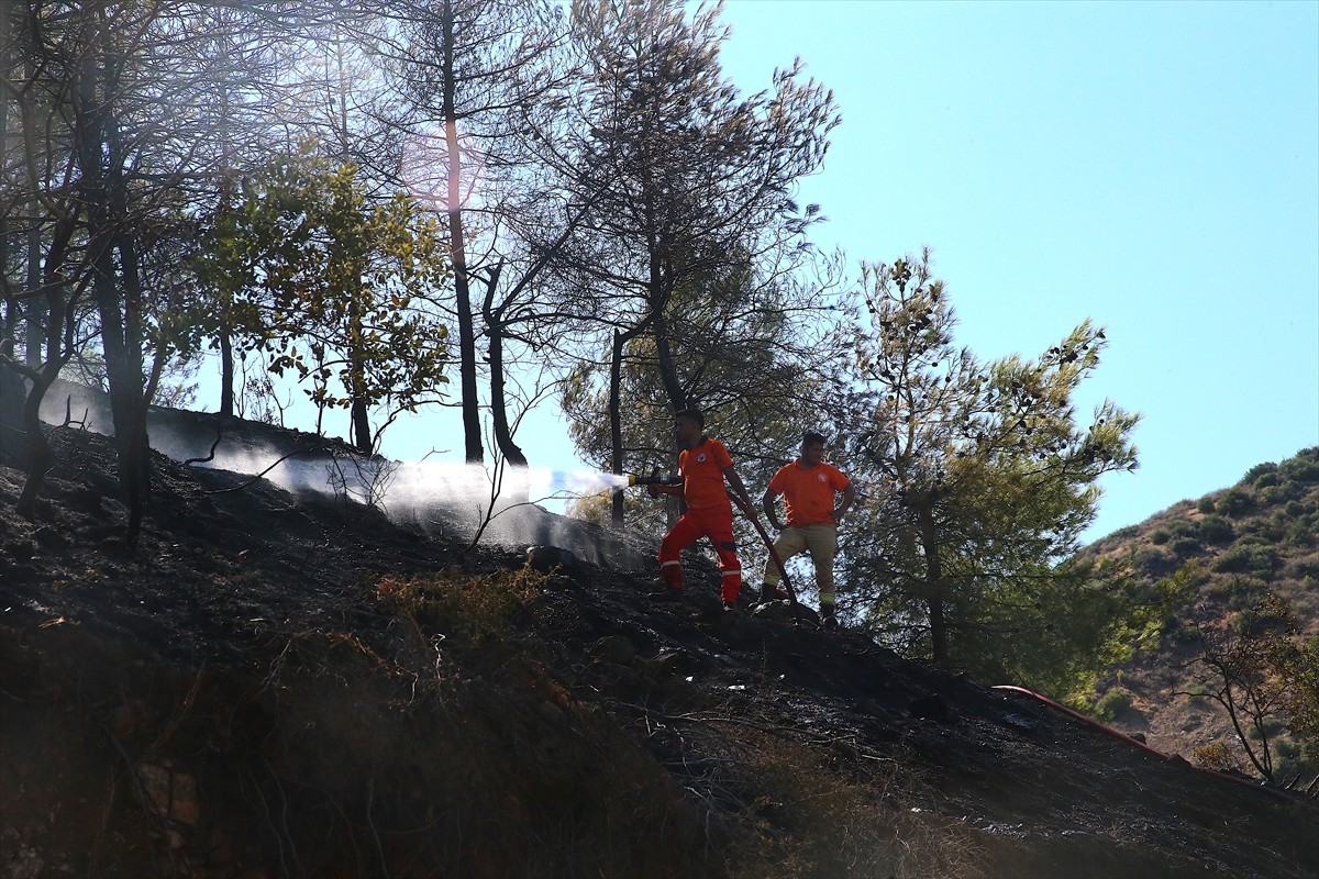 Hatay'ın merkez Antakya ilçesinde ormanlık alanda çıkan yangın kontrol altına alındı.
