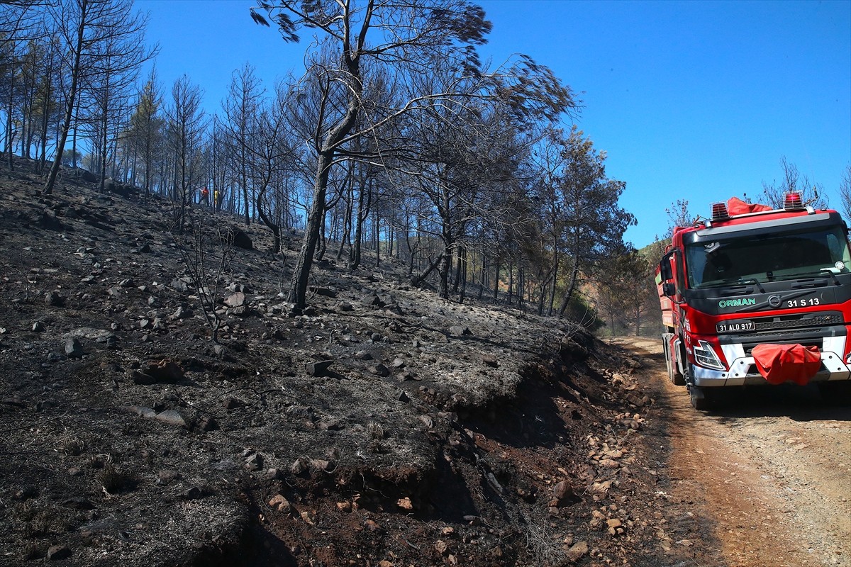 Hatay'ın merkez Antakya ilçesinde ormanlık alanda çıkan yangın kontrol altına alındı.