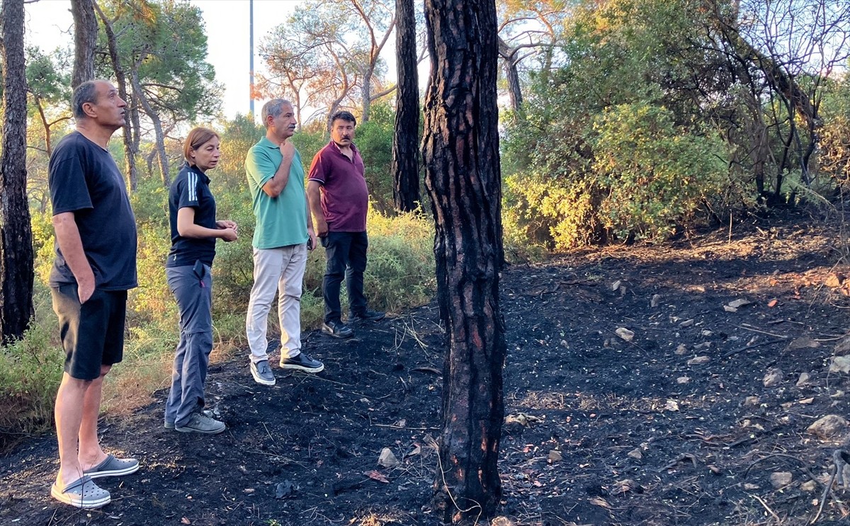 Heybeliada'da ormanlık alanda çıkan yangın itfaiye ekiplerinin müdahalesiyle kontrol altına...