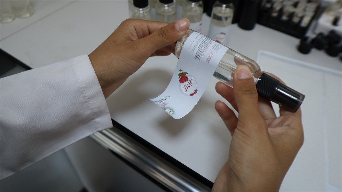 Iğdır Üniversitesi laboratuvarlarında yöreden yetişen tarımsal ve endemik türler ile Ağır Dağı...