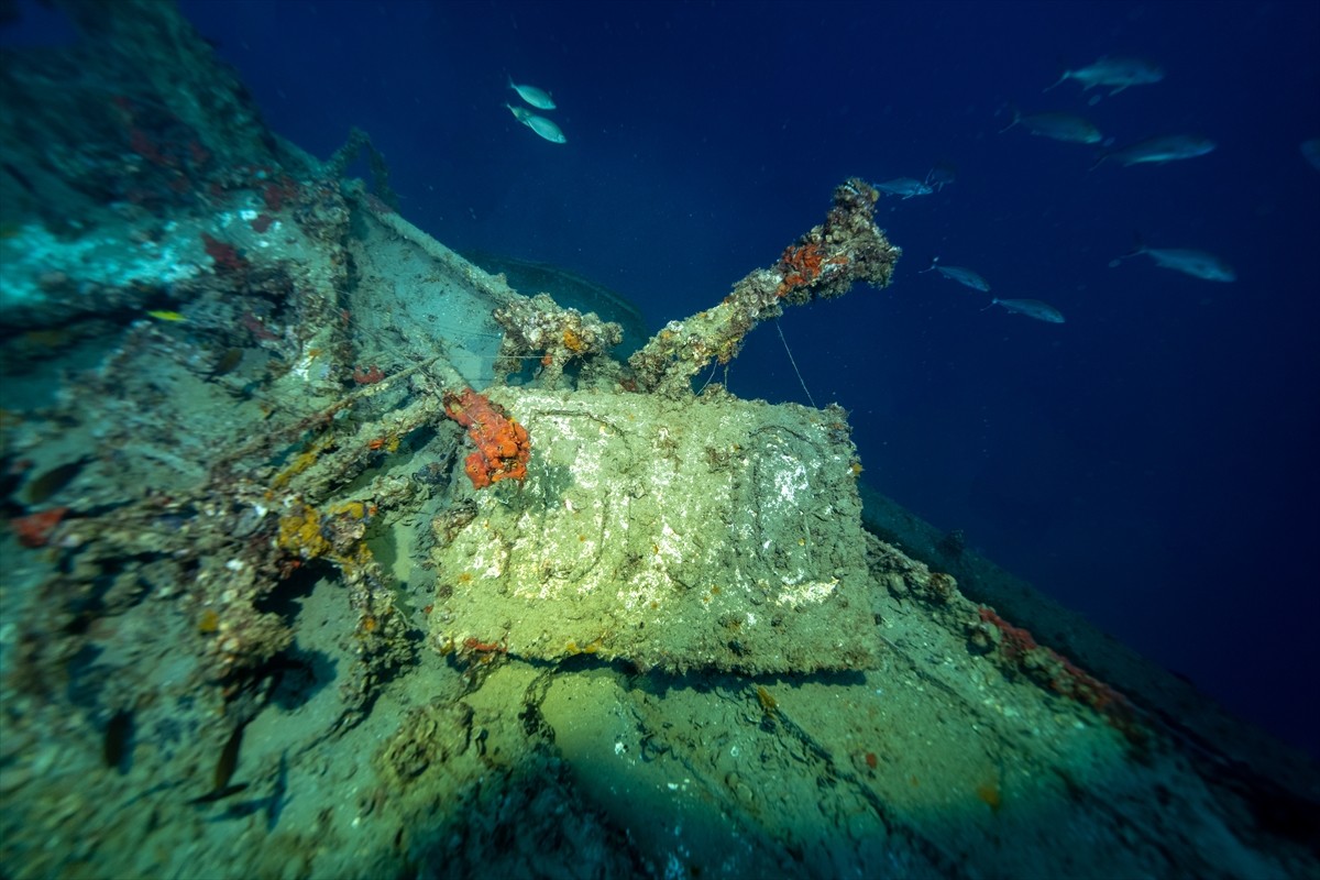 İskenderun Körfezi açıklarında, 2004 yılında taşıdığı yükle batan M/V Ulla Gemisi, su altı...