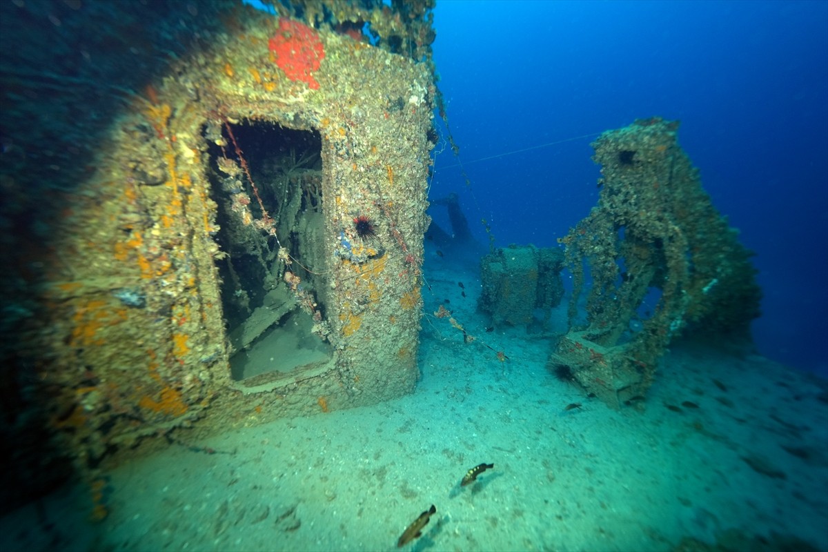 İskenderun Körfezi açıklarında, 2004 yılında taşıdığı yükle batan M/V Ulla Gemisi, su altı...