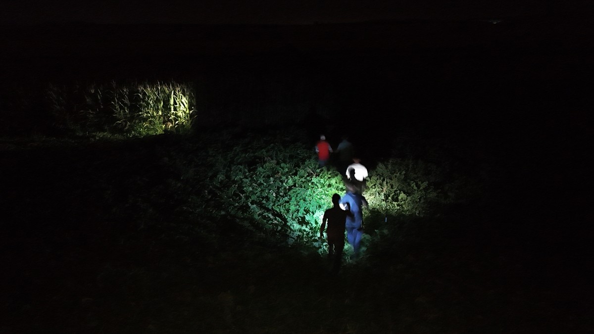 Konya'nın Karapınar ilçesine bağlı Seyit Hacı Yaylası yakınında bulunan pancar tarlasında, akşam...