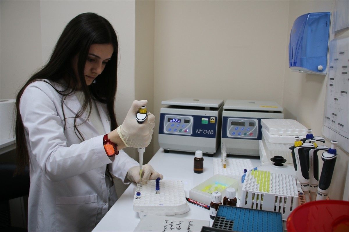 Kütahya'da kurulan toksikoloji laboratuvarında idrar numunelerinden uyuşturucu etkisinde araç...