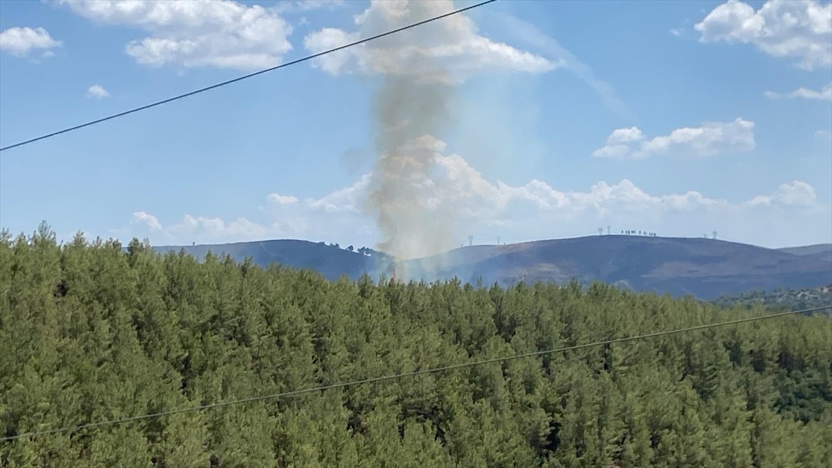 Muğla'nın Kavaklıdere ilçesinde çıkan orman yangını, havadan ve karadan müdahaleyle...