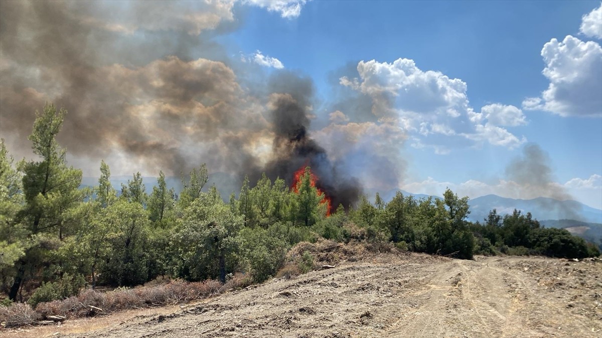 Muğla'nın Kavaklıdere ilçesinde çıkan orman yangını, havadan ve karadan müdahaleyle...