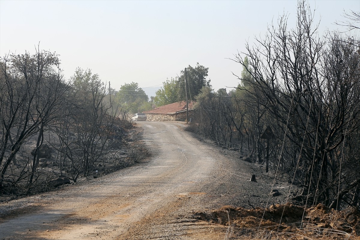 Muğla'nın Milas ilçesinde çıkan orman yangını kara ve hava ekiplerinin müdahalesiyle kontrol...