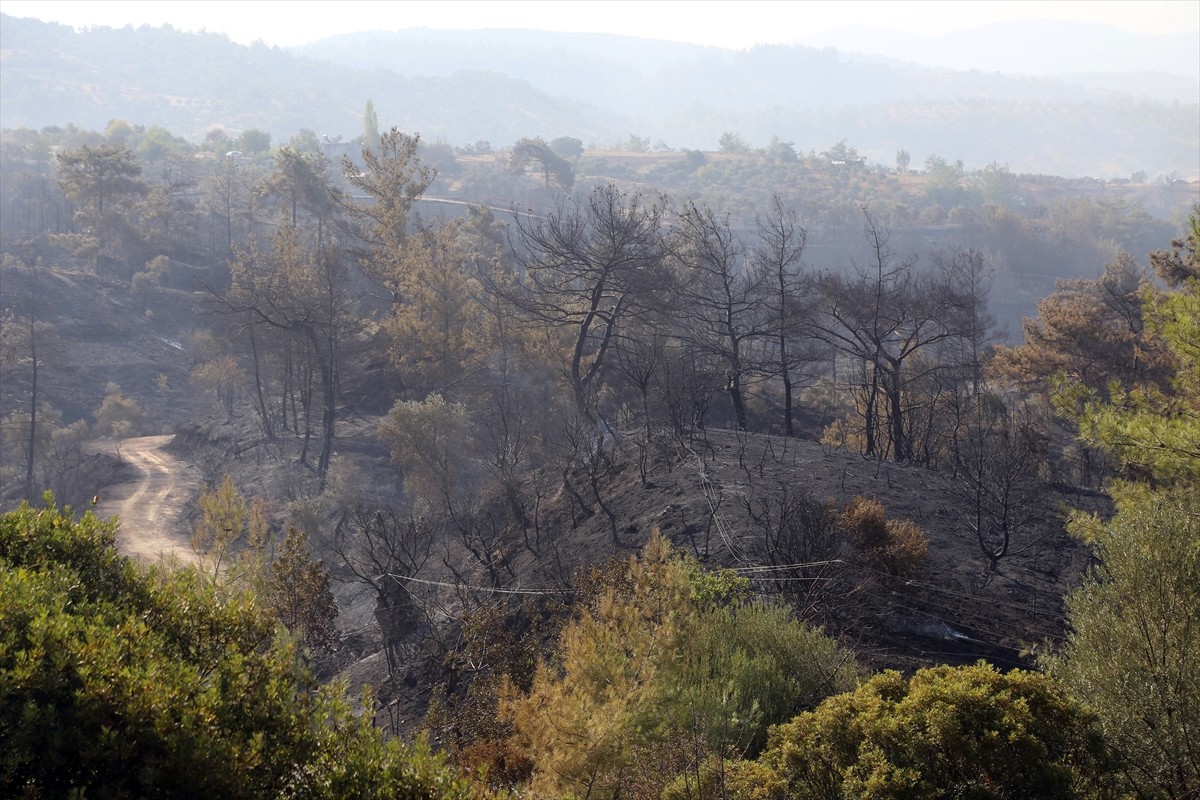 Muğla'nın Milas ilçesinde çıkan orman yangını kara ve hava ekiplerinin müdahalesiyle kontrol...