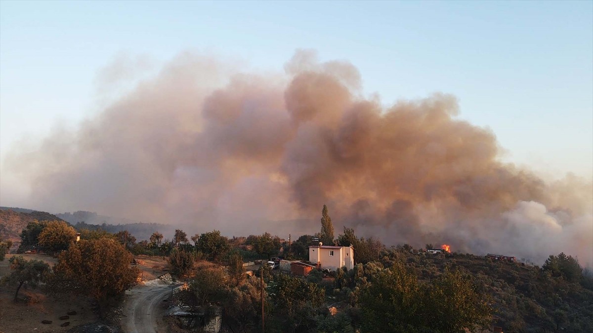 Muğla'nın Milas ilçesinde çıkan orman yangınına havadan ve karadan müdahale ediliyor.