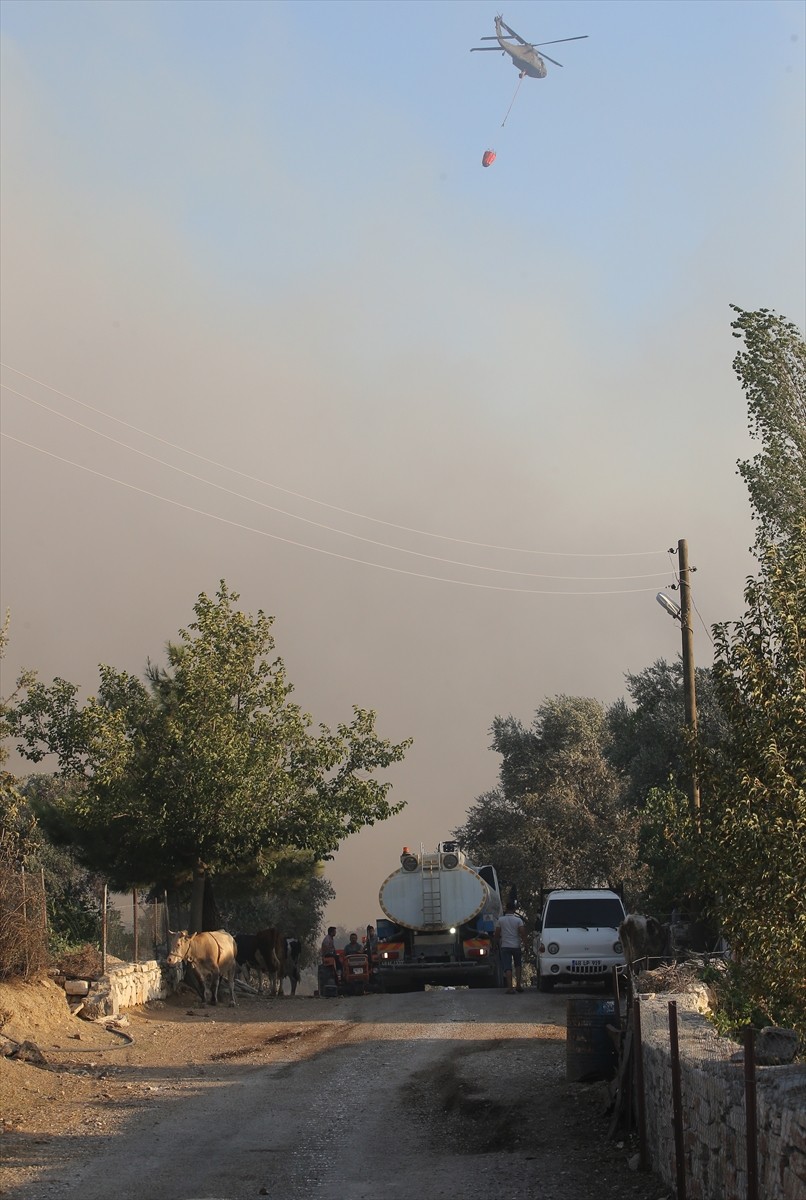 Muğla'nın Milas ilçesinde çıkan orman yangınına havadan ve karadan müdahale ediliyor.  