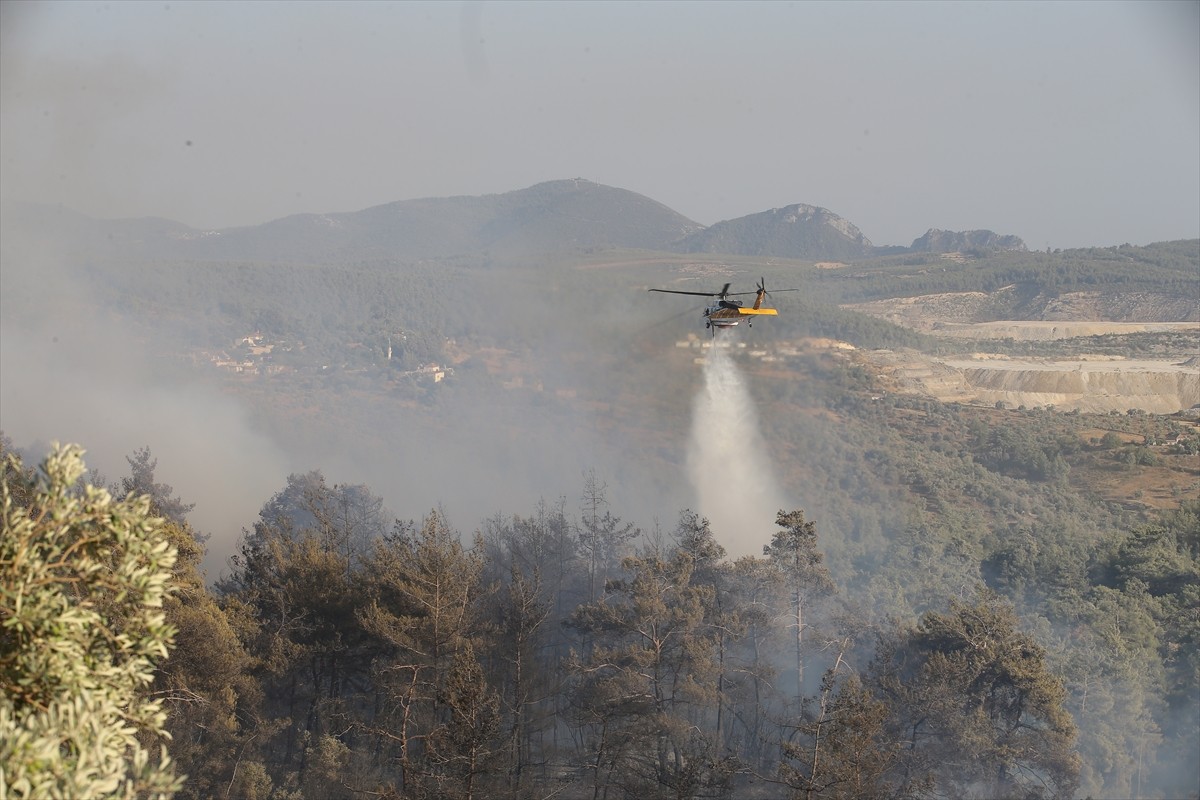 Muğla'nın Milas ilçesinde çıkan orman yangınına havadan ve karadan müdahale ediliyor.  