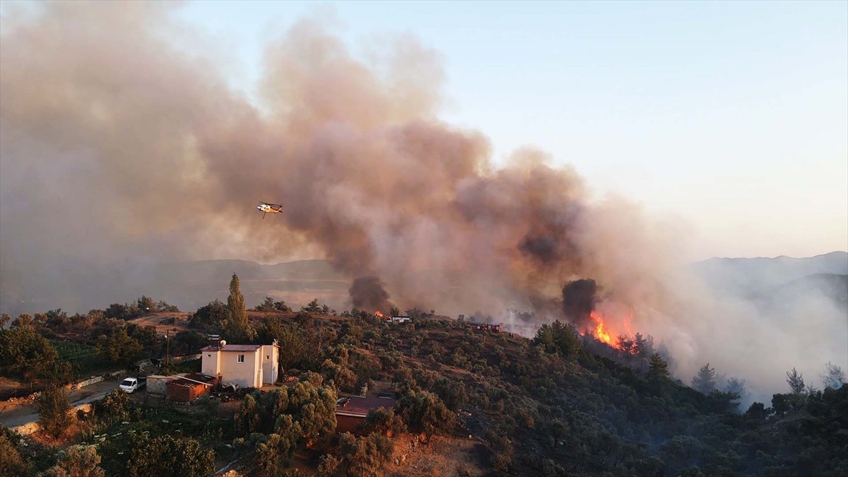 Muğla'nın Milas ilçesinde çıkan orman yangınına havadan ve karadan müdahale ediliyor.