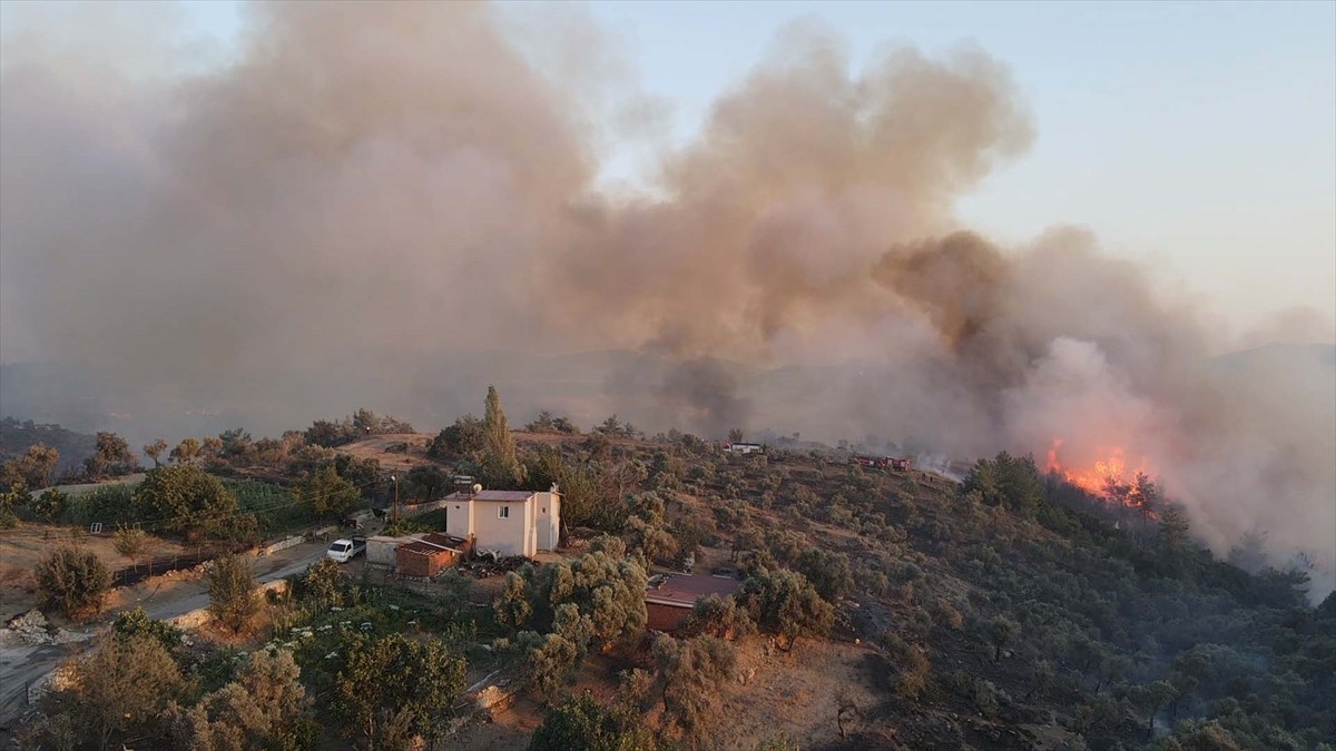 Muğla'nın Milas ilçesinde çıkan orman yangınına havadan ve karadan müdahale ediliyor.