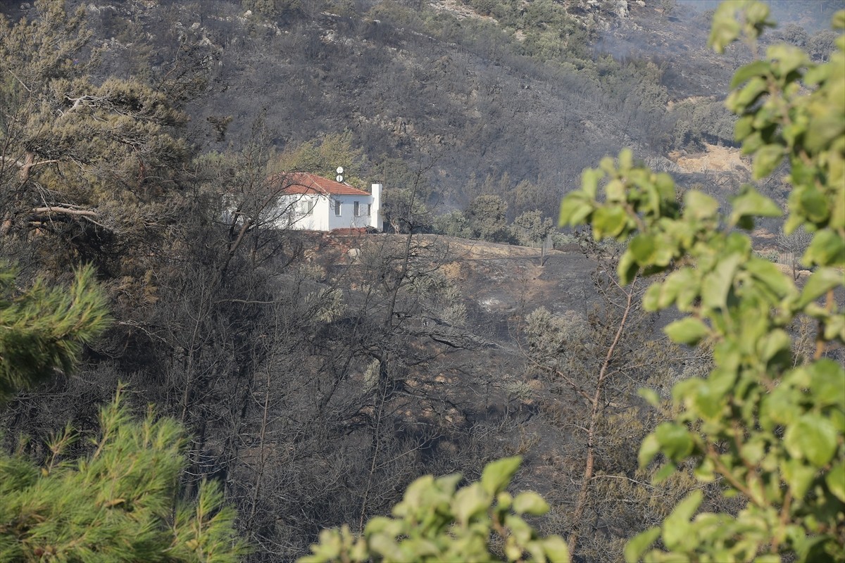 Muğla'nın Milas ilçesinde çıkan orman yangınına havadan ve karadan müdahale ediliyor.  