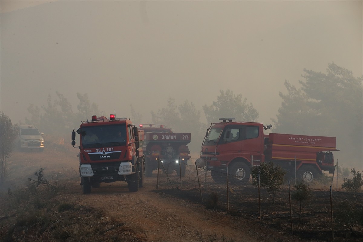 Muğla'nın Milas ilçesinde çıkan orman yangınına havadan ve karadan müdahale ediliyor.  