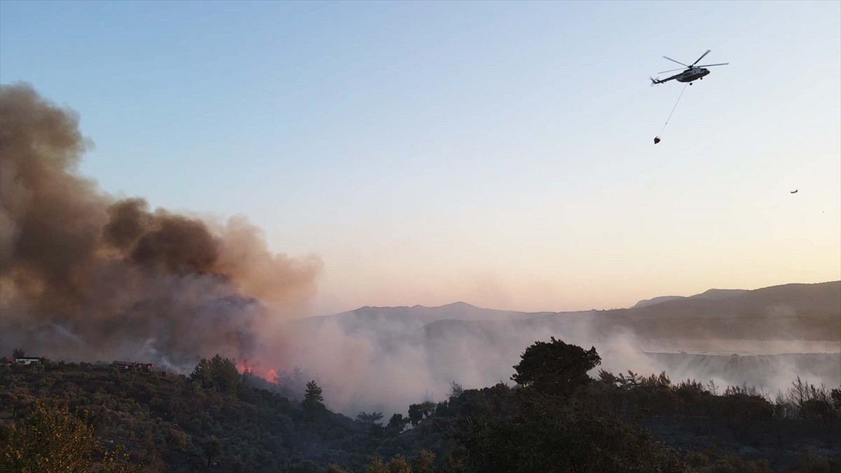 Muğla'nın Milas ilçesinde çıkan orman yangınına havadan ve karadan müdahale ediliyor.