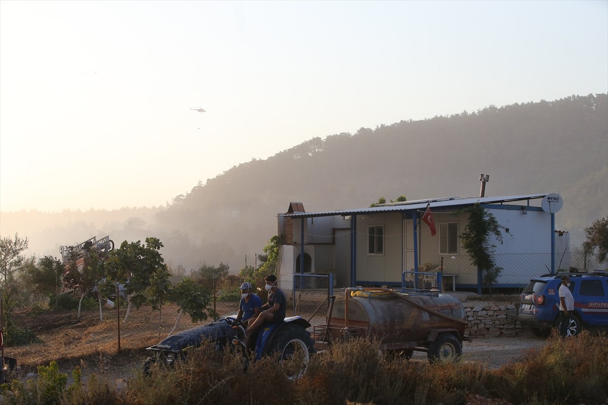 Muğla'nın Milas ilçesinde çıkan orman yangınına havadan ve karadan müdahale ediliyor.  