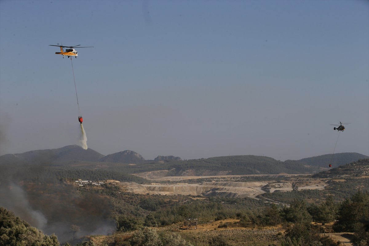 Muğla'nın Milas ilçesinde çıkan orman yangınına havadan ve karadan müdahale ediliyor.  
