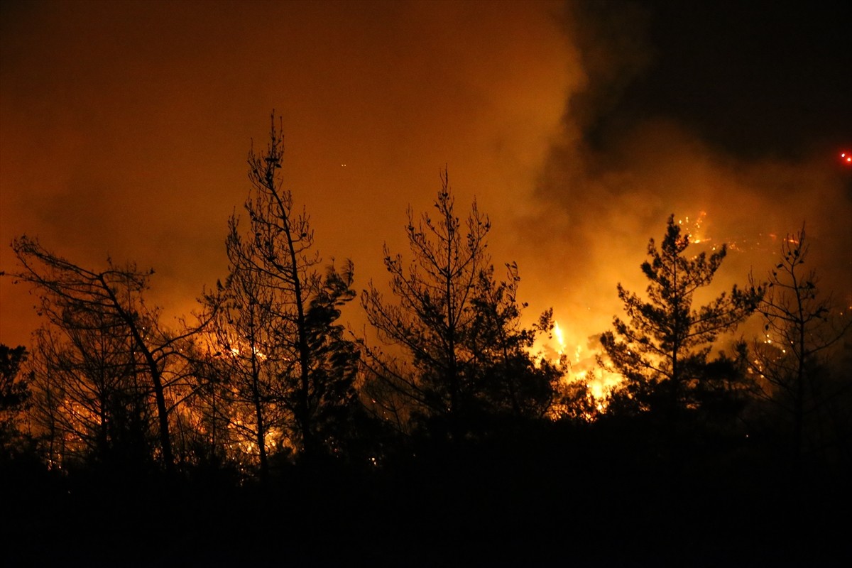 Muğla'nın Milas ilçesinde çıkan orman yangınına, havanın kararmasıyla karadan müdahale devam...
