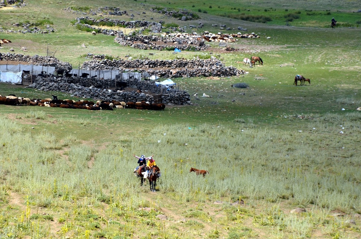 Muş'un Varto ilçesinde berivanlar (süt sağan kadın), sıcak havaya rağmen her gün atlarla yaklaşık...